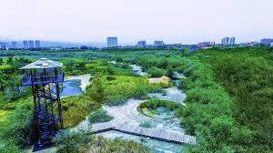 Club de Golf Marina Vallarta